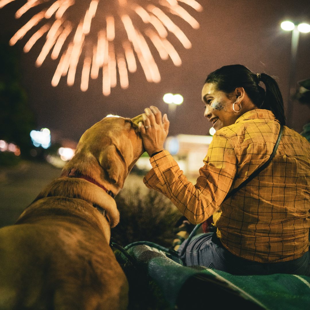 Tips to Keep Your Dog Calm During New Year's Fireworks