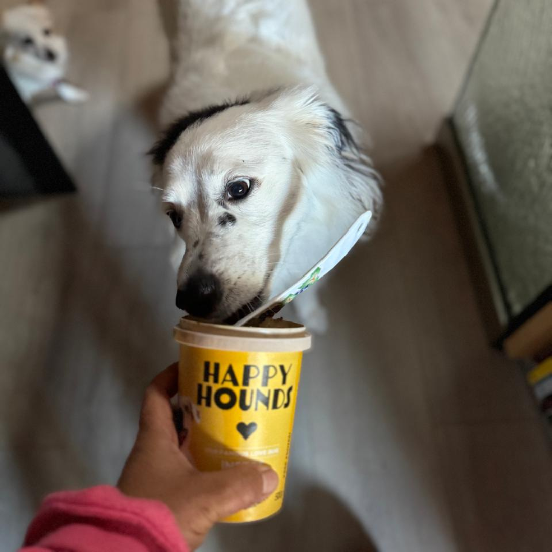 Best Proteins for Dogs With Allergies and Sensitive Digestion
