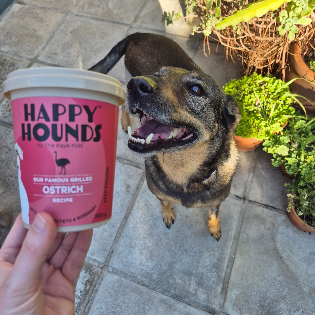 Why Ostrich Is One of the Best Proteins for Dogs