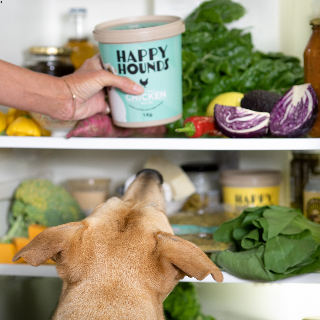 What Does "Human-Grade" Dog Food Actually Mean?
