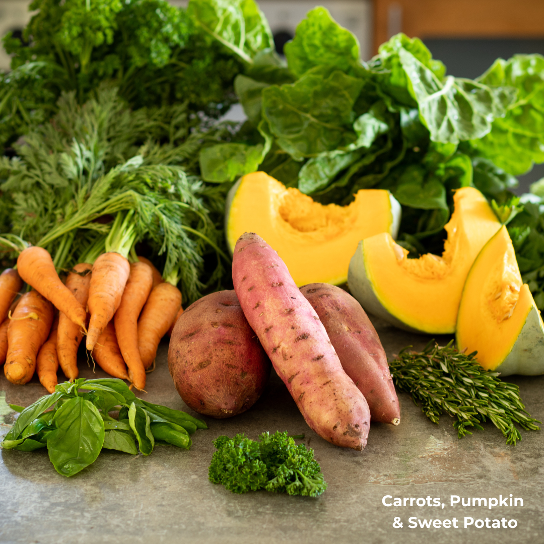 Why Ingredient Quality Matters in Dog Food