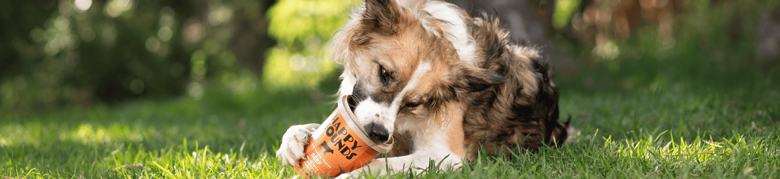 A Collie mix licking a Happy Hounds beef tub while lying on green grass, with greenery and trees behind her