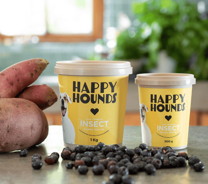 Two tubs of Happy Hounds' insect protein recipe on a grey kitchen counter, with blueberries and sweet potatoes displayed around them