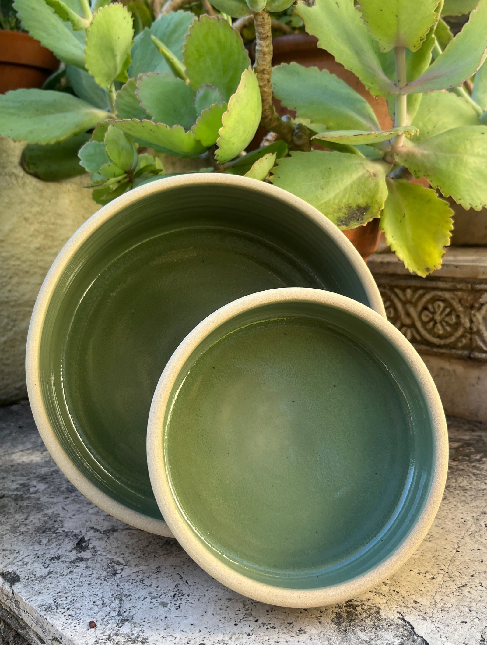 Two green ceramic bowls on a stone surface with plants in the background