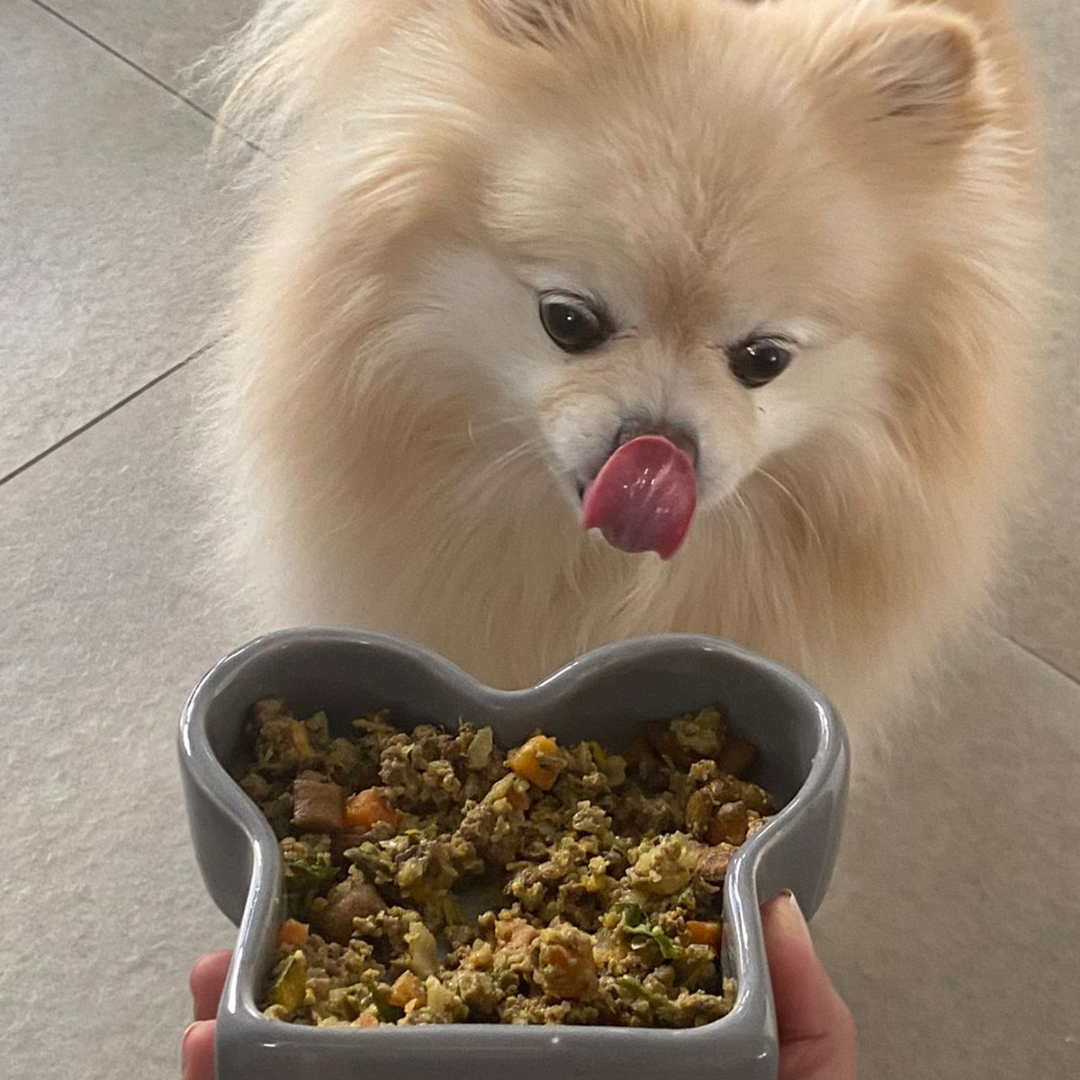 How Much Should You Feed Your Dog? Your Ultimate Feeding Guide!