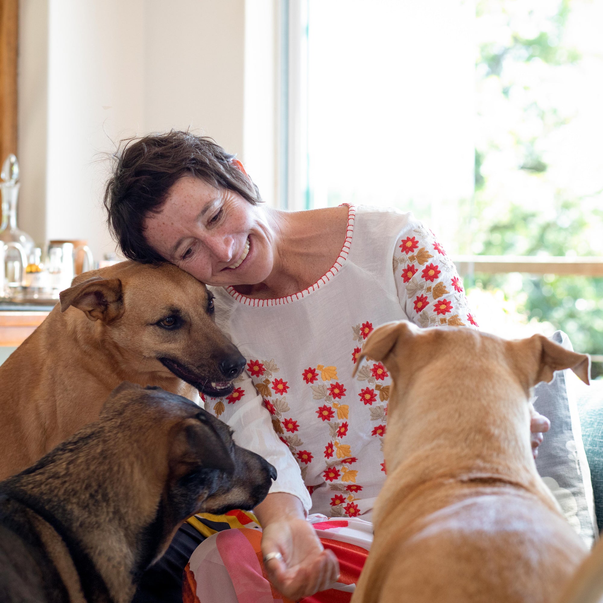 Emma, founder of Happy Hounds, with her pack of rescue dogs