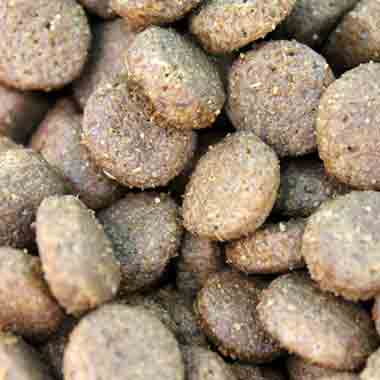 The History Of Kibble - Happy Hounds