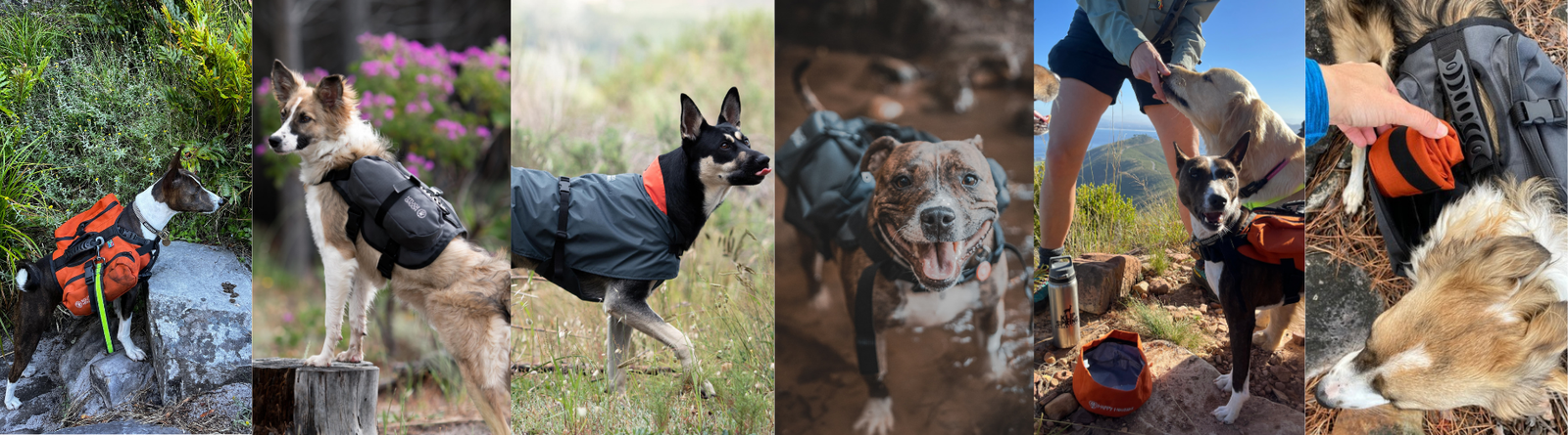 Shop Gear & Accessories - For adventures, mealtimes, and every moment in between