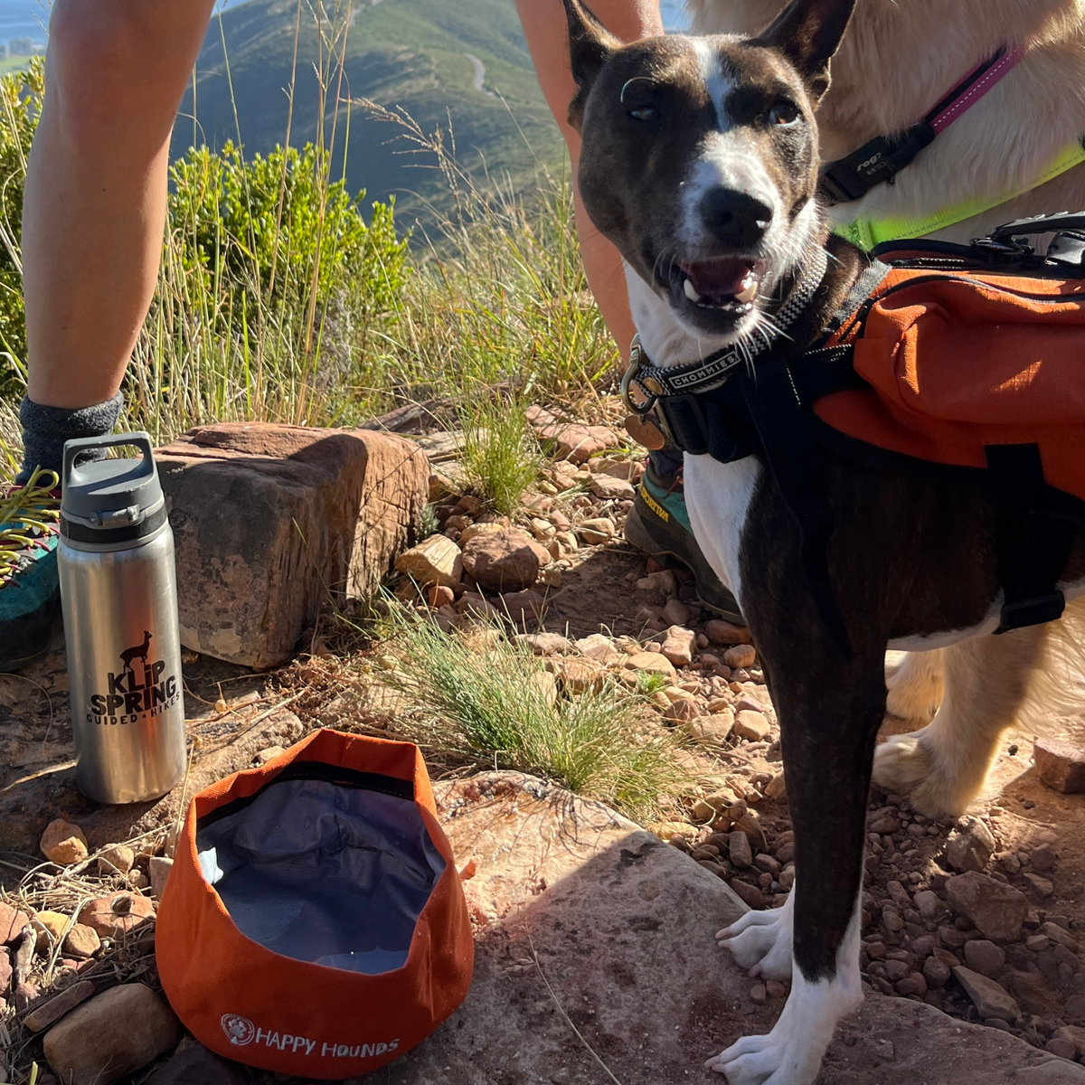 Happy Hounds orange trail bowl made from  super light, cloth that can fold up and be transported easily. 