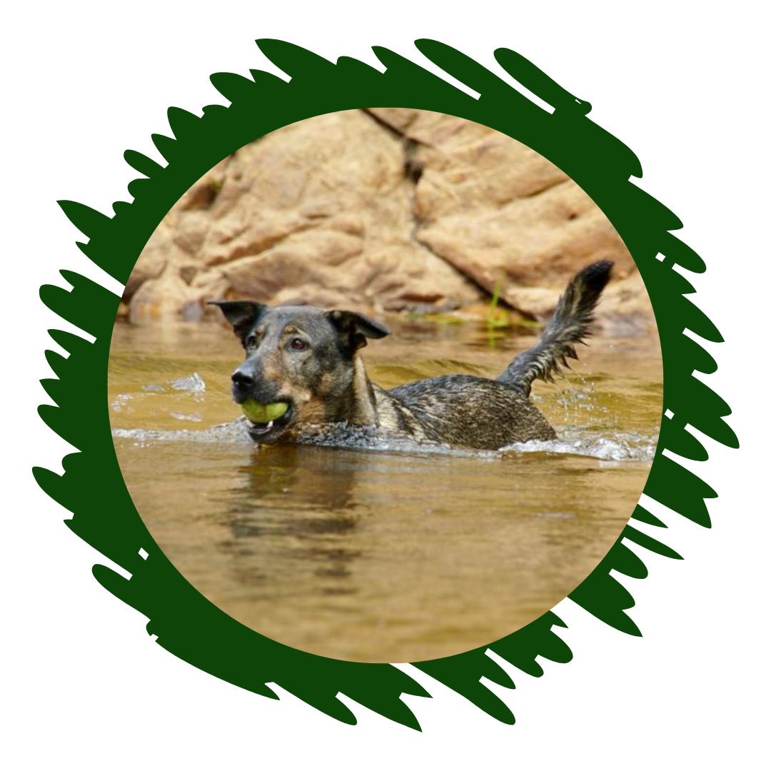 Happy Pack Gift Voucher