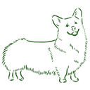 Promotes Healthy Skin & Coat