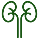 Supports Hydration & Urinary Health