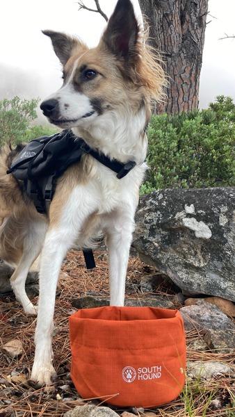 A Collie mix dog with a Happy Hounds orange trail bowl made from  super light, cloth that can fold up and be transported easily. 