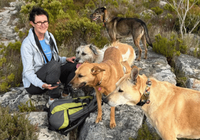 Emma, the founder of Happy Hounds, hiking on the mountain with her pack of rescue dogs. They are all smiling