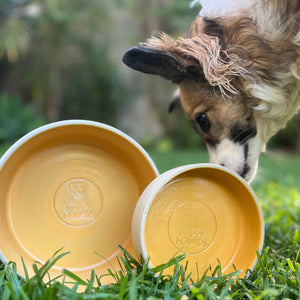 Happy Hounds Hand-Crafted Ceramic Bowls R295-R379