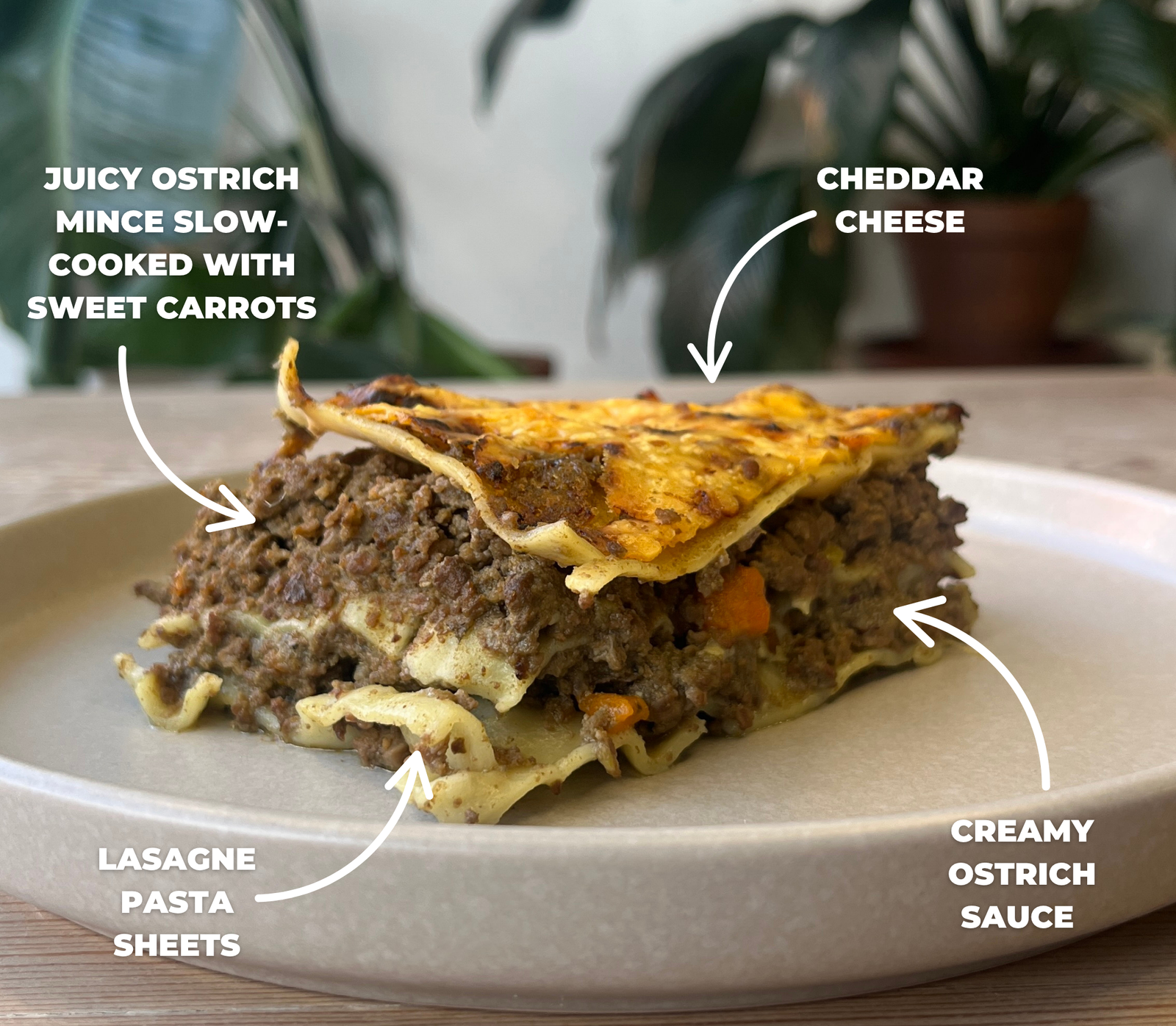 Slice of lasagne on a plate with text labels indicating ingredients