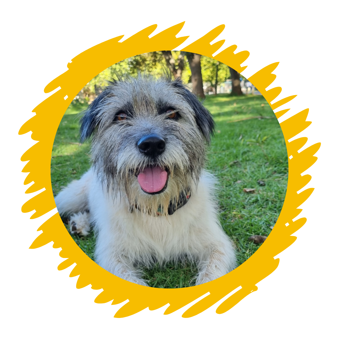 Happy Pack Gift Voucher