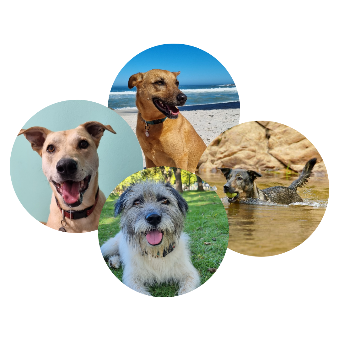 Happy Pack Gift Voucher